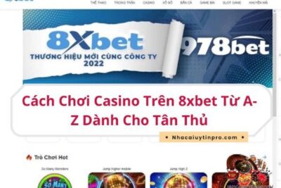 Cách Chơi Casino Trên 8xbet Từ A-Z Dành Cho Tân Thủ
